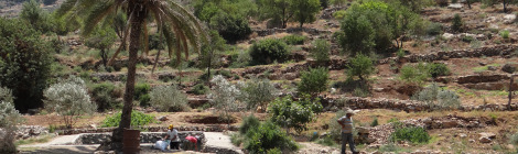 Farmers, 'felons'... and scouts! Life in West Bank wadis