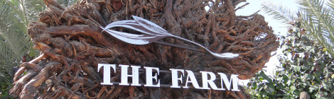 Tried & Tested: The Farm, Al Barari