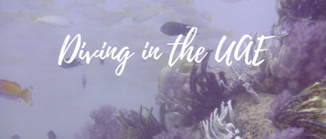 Diving in the UAE: Heading back beneath the waves