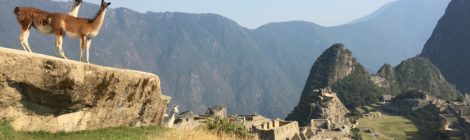 Five highlights of Peru: Trekking the Inca Trail and more